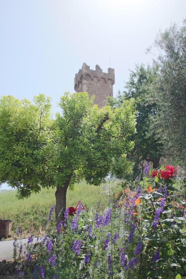 Casa Costa Delle Caserme Montalcino Eksteriør bilde